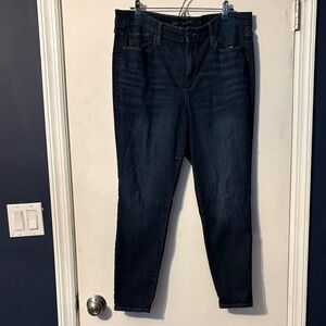 Universal Thread Dark Denim Skinny Jeans